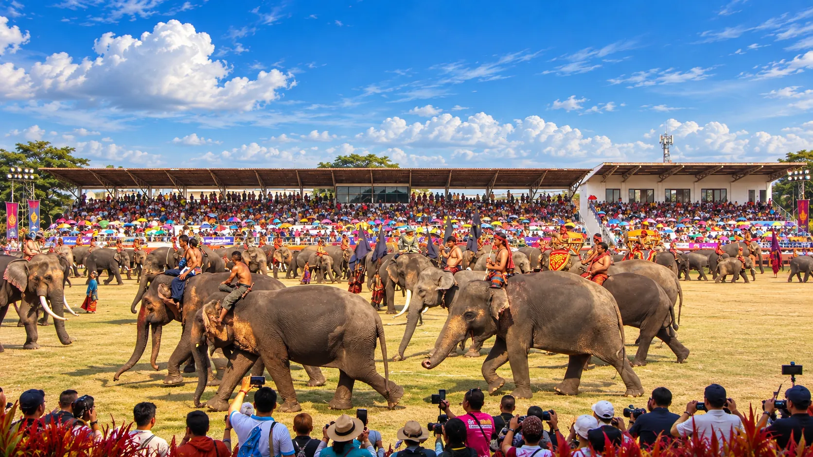 The Surin Elephant Festival today: elephants in the arena before packed grandstands